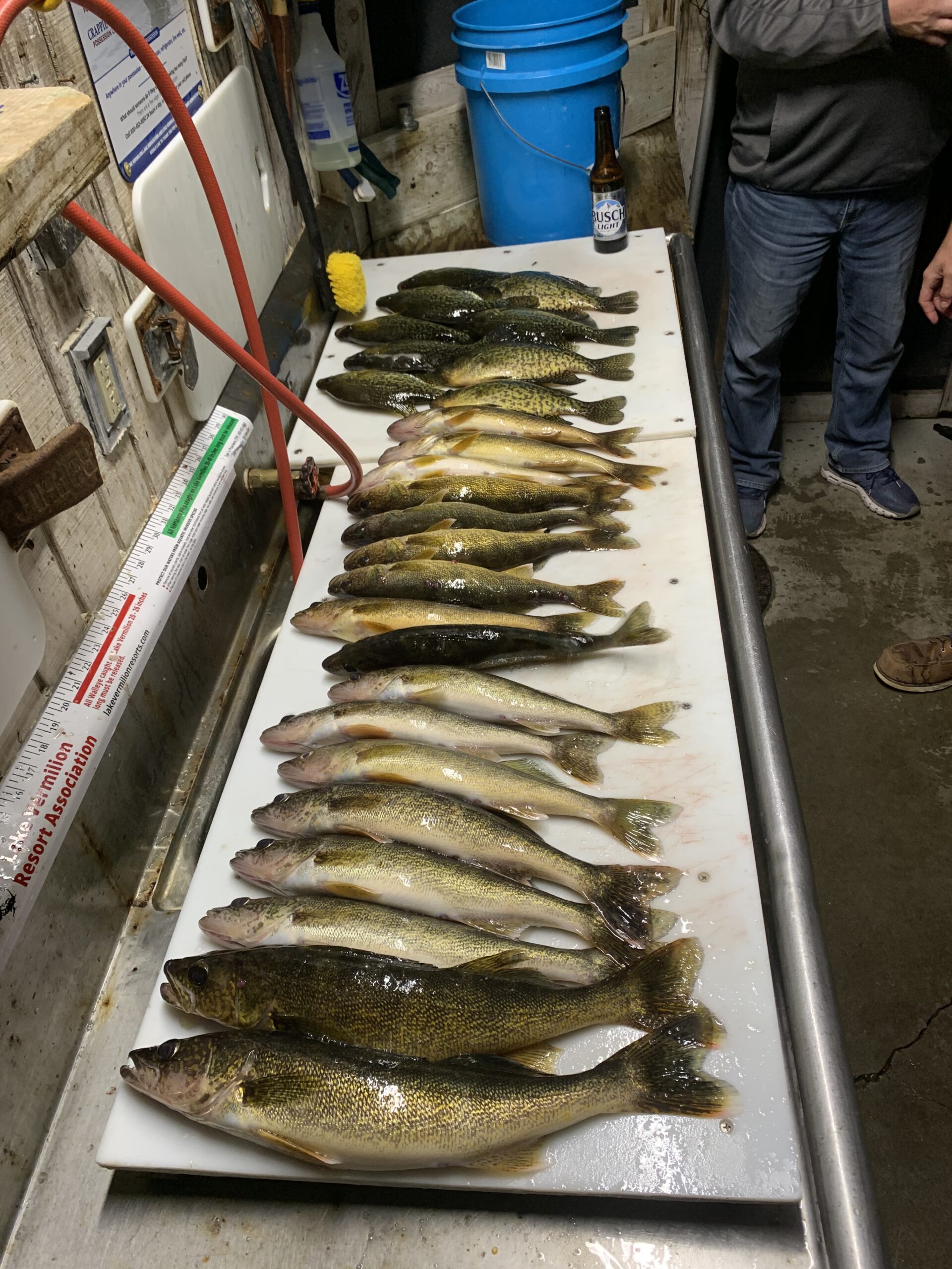 Lake Vermilion scenery